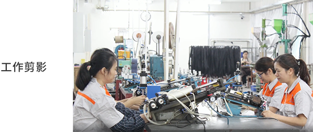 氟塑耐溫電線廠家恒星傳導三八活動